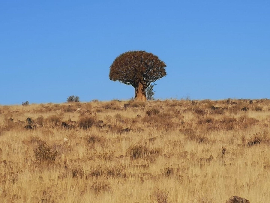 0 Bedroom Property for Sale in Upington Rural Northern Cape